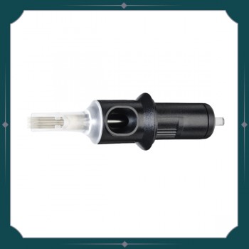 Cartouches Cheyenne (x20) - RS 15