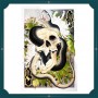 Eckel - Skull, Snake & Chrysanthemums