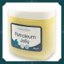 Vaseline - Pot 284g
